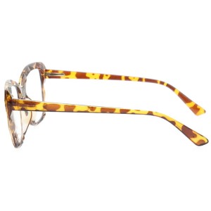 Plastic Reading Glasses